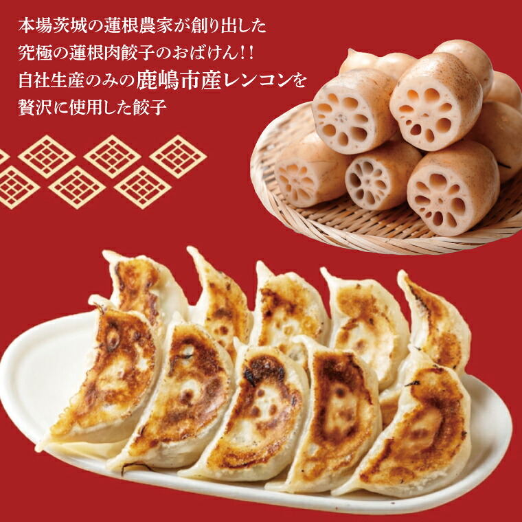 餃子 れんこん 蓮根肉餃子のおばけん 140粒 野菜 ギョーザ れんこん しゃきしゃき おいしい 茨城県 鹿嶋市