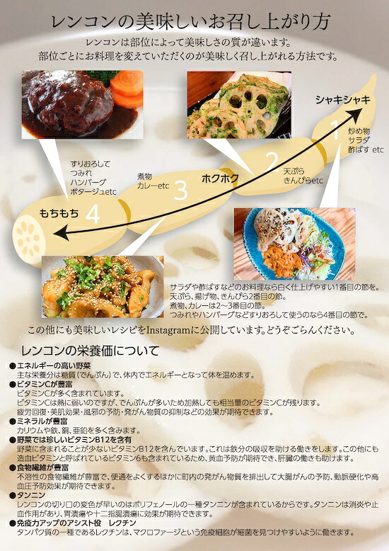 オーガニック肥料で育てたれんこん 2kg 蓮根 れんこん レンコン 手掘り 野菜 やさい 根菜 新鮮 産地直送 農家直送 国産 茨城県 鹿嶋市 【8月発送開始予定】