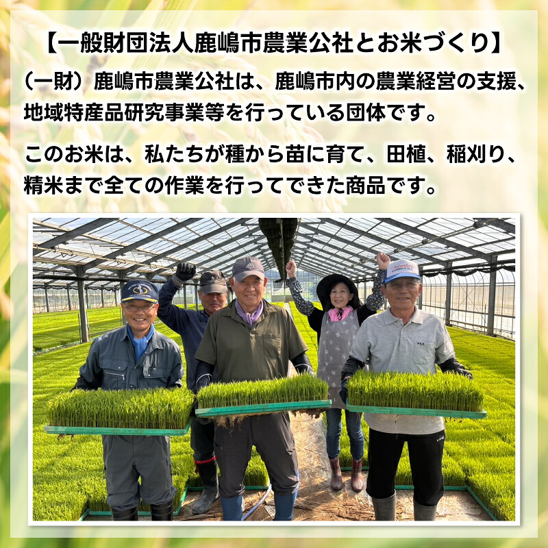 新米 コシヒカリ 玄米 30kg 数量限定 米 こしひかり 国産 ブランド米 お米 美味しい 鹿嶋市産 令和8年産 先行予約 玄米30kg 玄米30キロ コメ ごはん ライス お弁当 kome