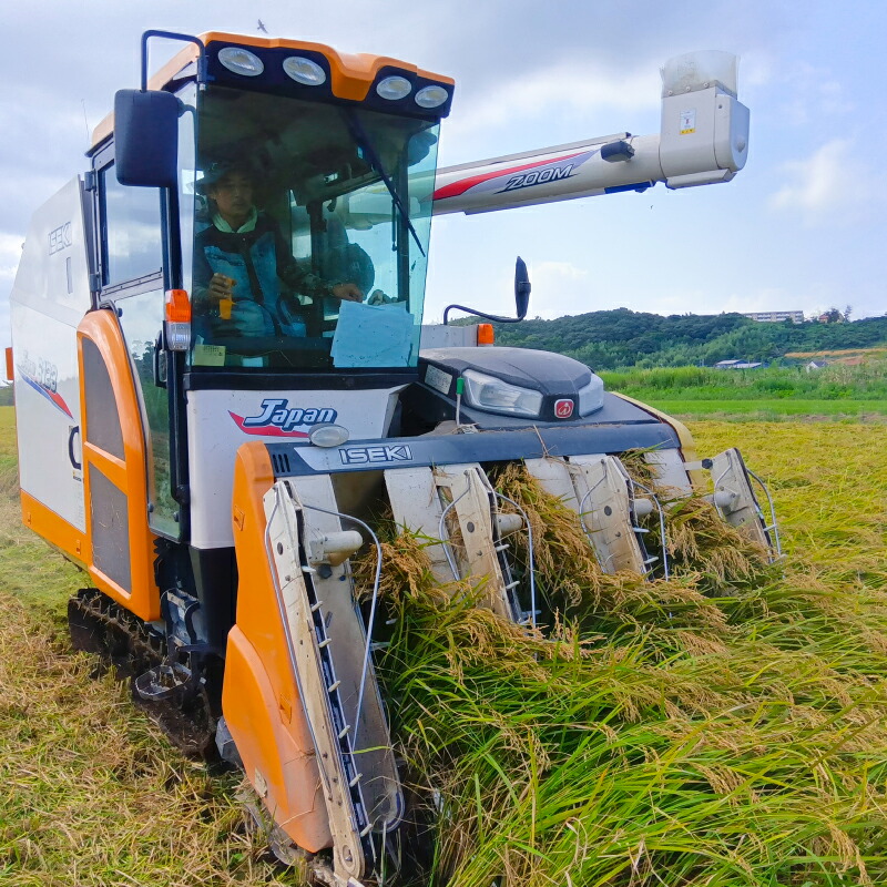 新米 コシヒカリ 玄米 30kg 数量限定 米 こしひかり 国産 ブランド米 お米 美味しい 鹿嶋市産 令和8年産 先行予約 玄米30kg 玄米30キロ コメ ごはん ライス お弁当 kome