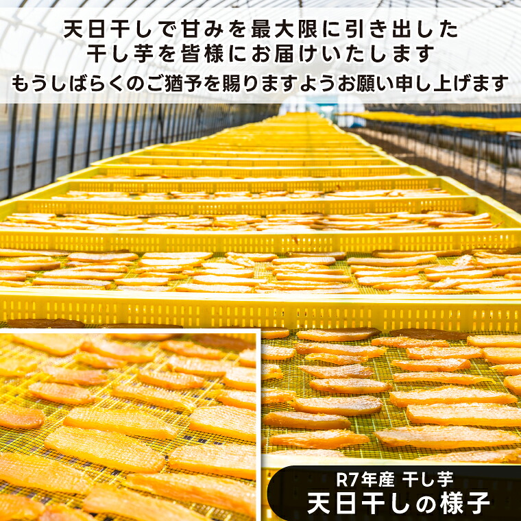 【ふるさと納税】 干し芋 訳あり 数量限定 1.5kg 2kg A品2kg 先行予約 紅はるか べにはるか 平干し 茨城県産 ほしいも 干しいも 干し芋