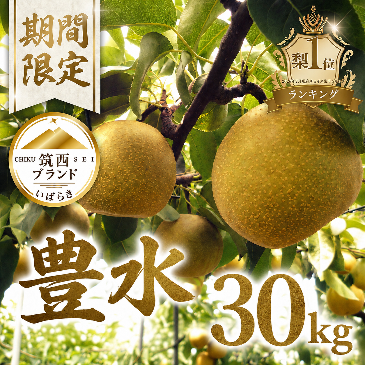 ＼まもなく発送開始／ 梨 豊水 約 30kg (48～84玉) 10kg × 3箱 なし 旬 豊水梨 秀品 あり 贈答 たっぷり 果物 フルーツ 2026年産 おすすめ 特産品 JA北つくば 茨城
