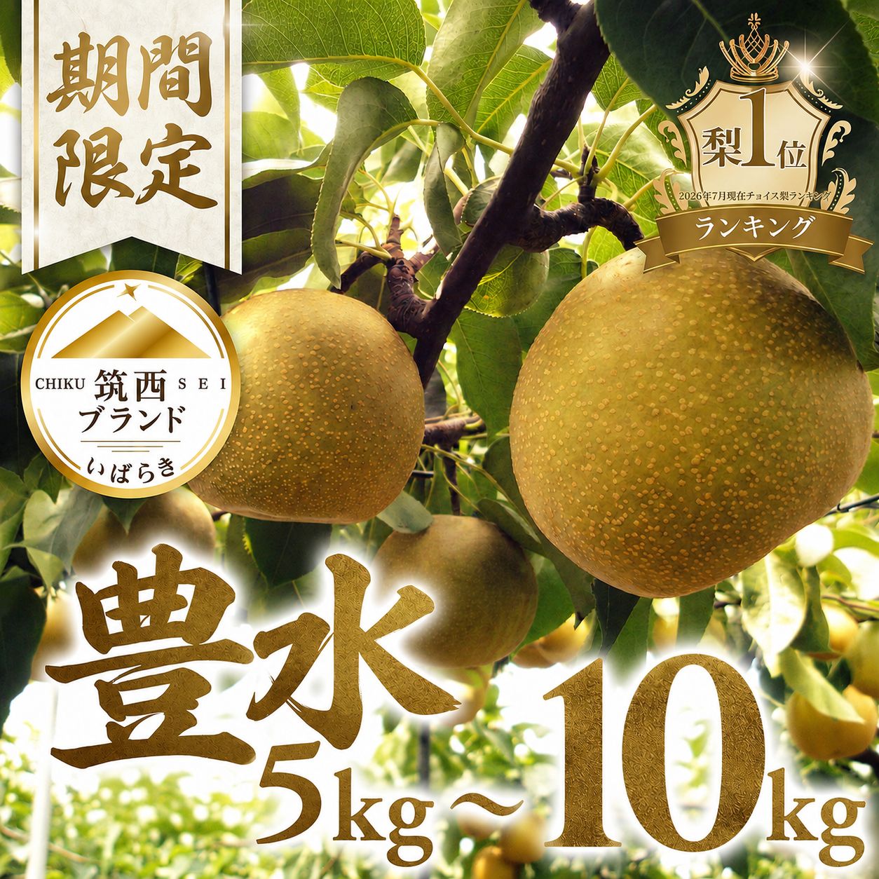 梨 豊水 約 5kg 10kg 1箱 なし ナシ 5キロ ほうすい梨 旬の梨 和梨 果実 豊水梨 秀品 あり 贈答用 贈答 甘み 果肉 果物 くだもの デザート JA北つくば 茨城