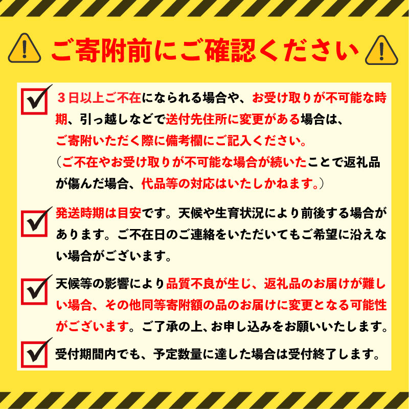 梨 あきづき 約 3kg 5kg 10kg 1箱 なし ナシ 3キロ 旬の梨 あきづき梨 秀品 贈答用 果物 くだもの フルーツ 2026年産 旬 おすすめ 特産品 茨城県産 JA北つくば