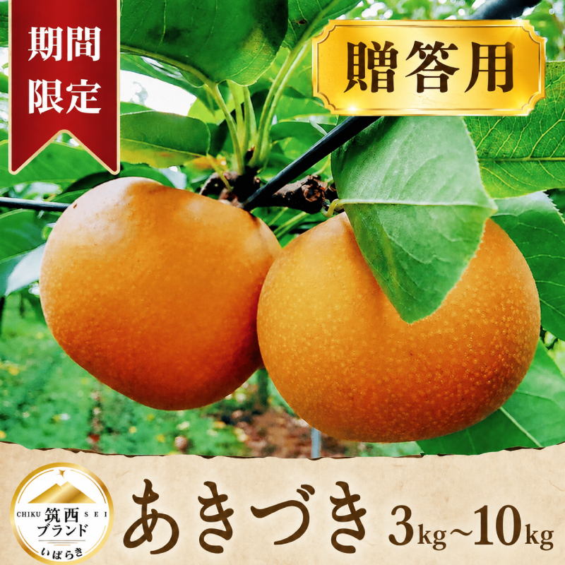 梨 あきづき 約 3kg 5kg 10kg 1箱 なし ナシ 3キロ 旬の梨 あきづき梨 秀品 贈答用 果物 くだもの フルーツ 2026年産 旬 おすすめ 特産品 茨城県産 JA北つくば