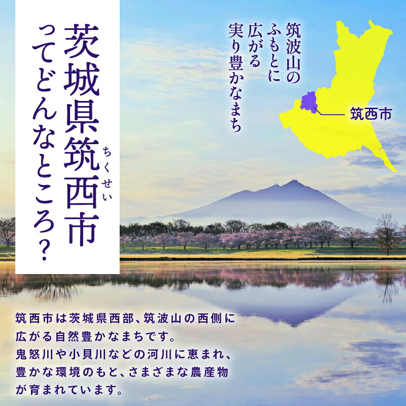 ＼まもなく発送／ 完熟 アールスメロン 1玉 2kg 2026年産 メロン 贈答用 秀品 青肉 果物 フルーツ 茨城県産 期間限定 数量限定 完熟 果物 くだもの 旬 人気 フルーツ KEK