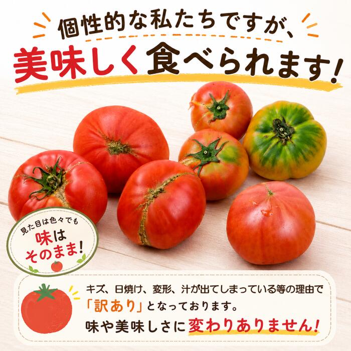【訳あり】 スーパーフルーツトマト 約2.6kg × 1箱 ( 大玉 20～35玉)  【2027年3月上旬~6月上旬配送】金賞受賞 高糖度 野菜ソムリエサミット とまと