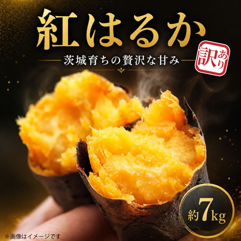 先行予約 さつまいも 訳あり 約 7kg 紅はるか 茨城県産 土付き 無選別 国産 わけあり 訳アリ サツマイモ 生芋 いも ポテト 焼き芋 やきいも スイートポテト 先行 産地直送 土つき