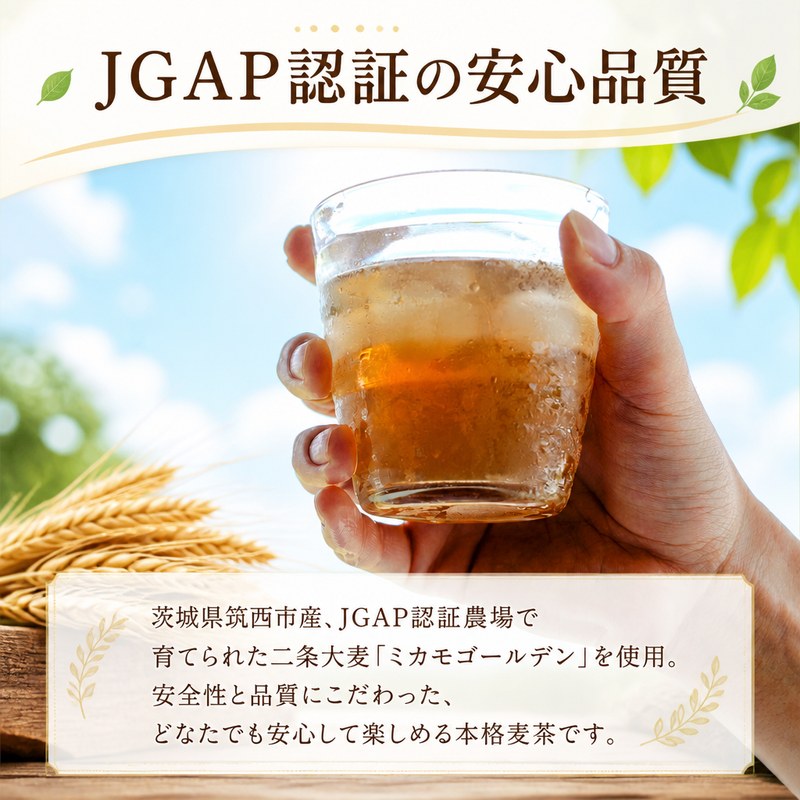 スピード発送!! 麦茶 1箱 ( 500ml × 24本 ) JGAP認証 二条大麦 使用 JA お茶 茶 ペットボトル 麦 大麦 ノンカフェイン カフェインゼロ 水分補給 茨城 筑西