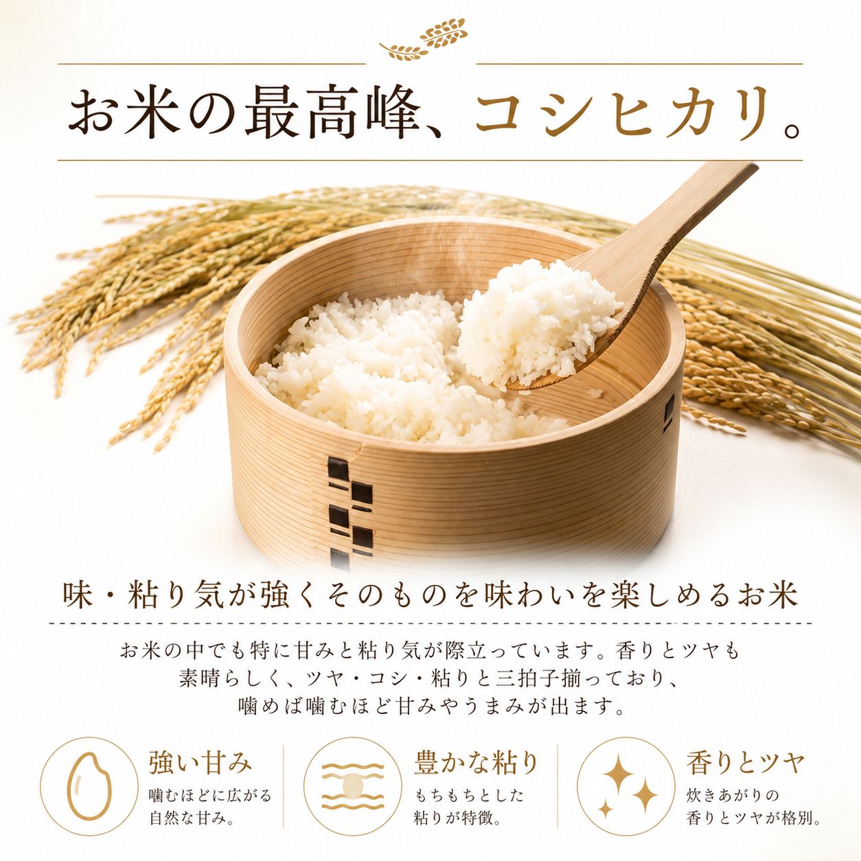 ＜令和8年産・新米＞ 玄米 コシヒカリ 新米 30kg 米 お米 数量限定 ご飯 ごはん コメ 白米 ライス げんまい こしひかり 先行予約 2026年産 R8産 玄米30kg 玄米30キロ