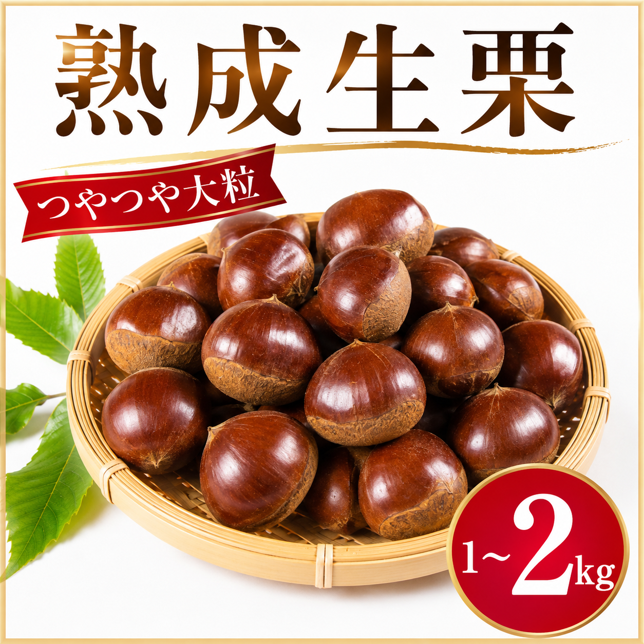 ＼まもなく発送開始／ 栗 約 1kg 2kg 3Lサイズ くり 生栗 2026年産 大粒 つやつや 秋 旬 旬の味覚 生ぐり なまぐり 和栗 わぐり 秋の味覚 マロン まろん 新鮮 国産栗 国産