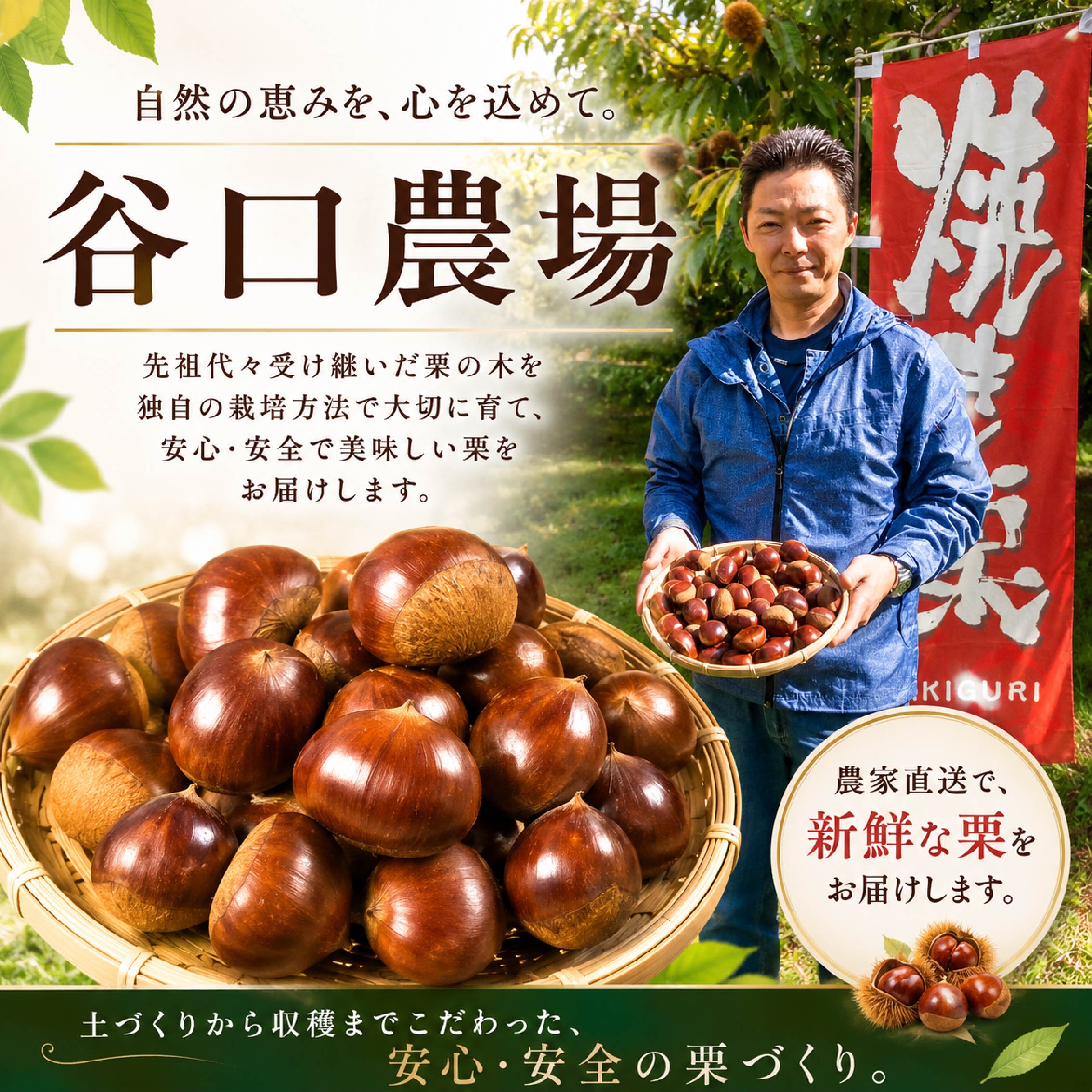 ＼まもなく発送開始／ 栗 約 1kg 2kg 3Lサイズ くり 生栗 2026年産 大粒 つやつや 秋 旬 旬の味覚 生ぐり なまぐり 和栗 わぐり 秋の味覚 マロン まろん 新鮮 国産栗 国産