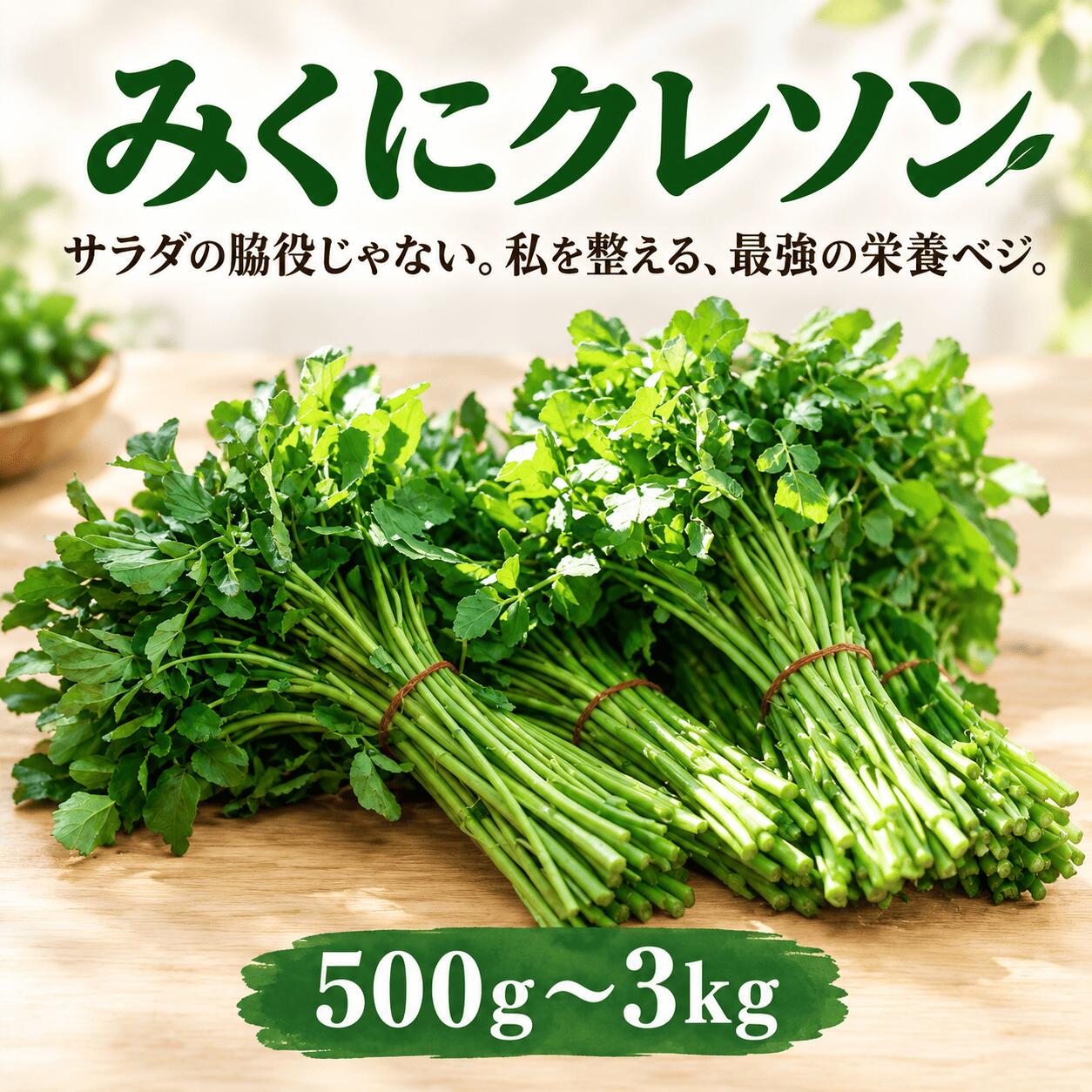 クレソン 約500g - 3kg 選べる容量 約100g × 5袋 ~ 30袋 700g 1kg 1.5kg 2kg 小分け サラダ 美容 健康 野菜 スーパーフード 葉物 茨城県産 国産野菜 国産 茨城県 筑西市 筑西 関東 三国園 みくにクレソン