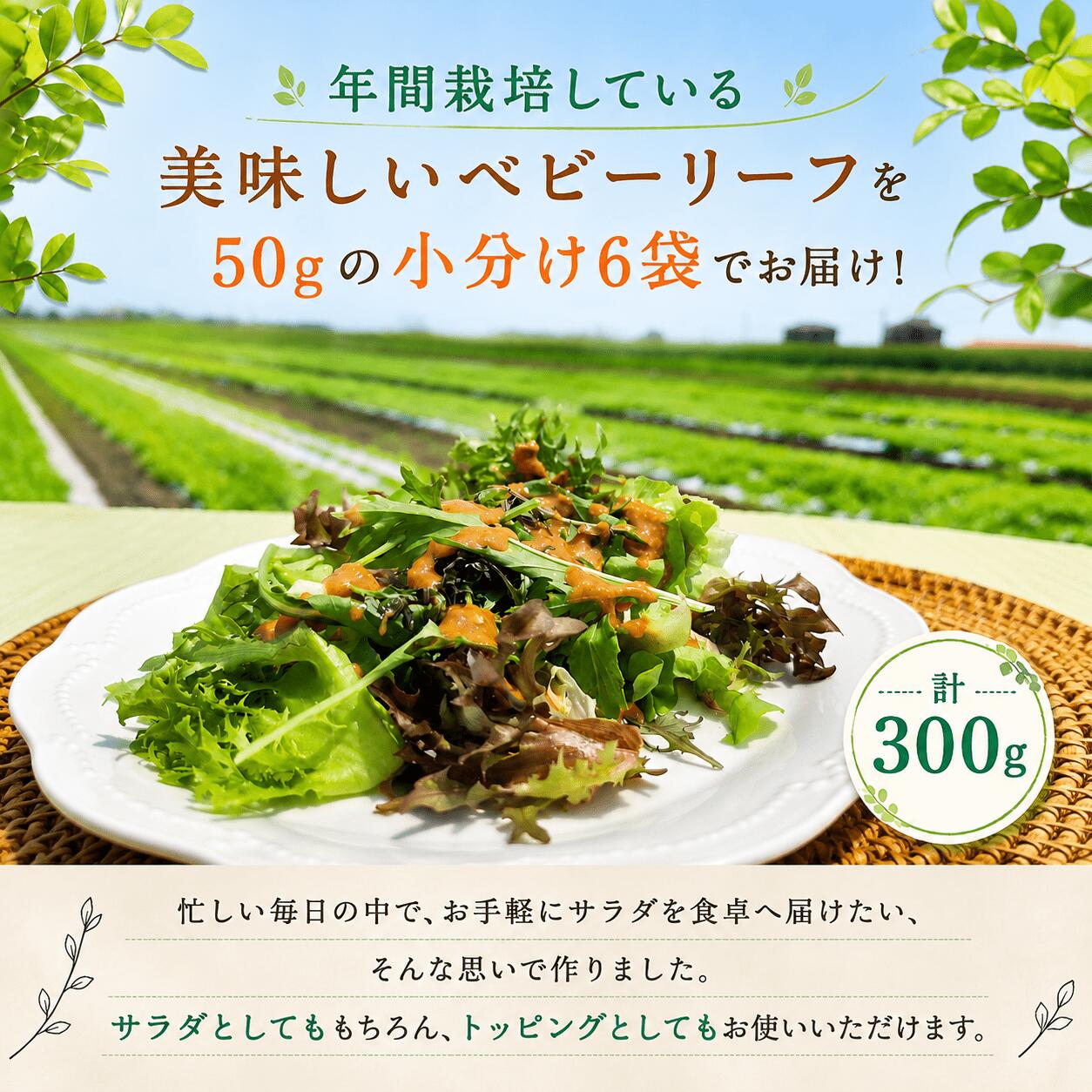 ベビーリーフサラダセット 300g ( 50g × 6袋 )  有機野菜 使い切りサイズ ベビーリーフ サラダ 生野菜 食べやすい 若葉 使い切り 小分け 新鮮 国産 彩り 有機JAS 茨城県 筑西