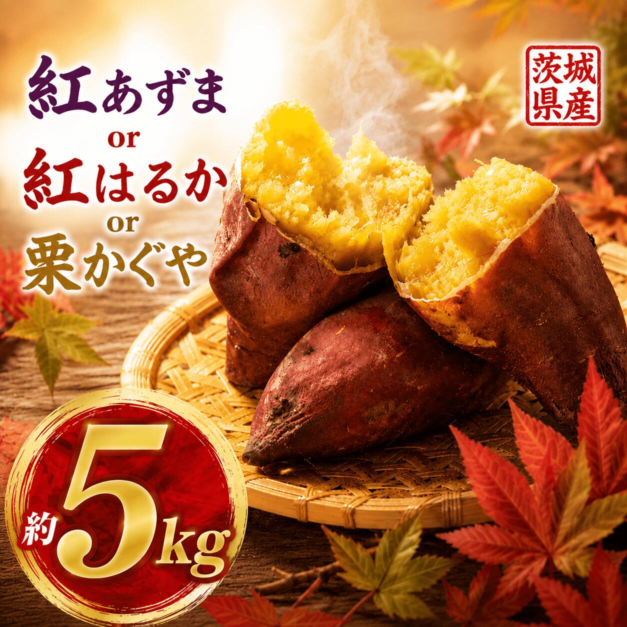 さつまいも 約5kg 紅あずま 紅はるか 栗かぐや M・Lサイズ 選べる 特別栽培 特別栽培農産物完熟 数量限定さつまいも 焼き芋 おやつ 秋 まごころ野菜よしの 筑西 茨城 よしのいも 井上さつま