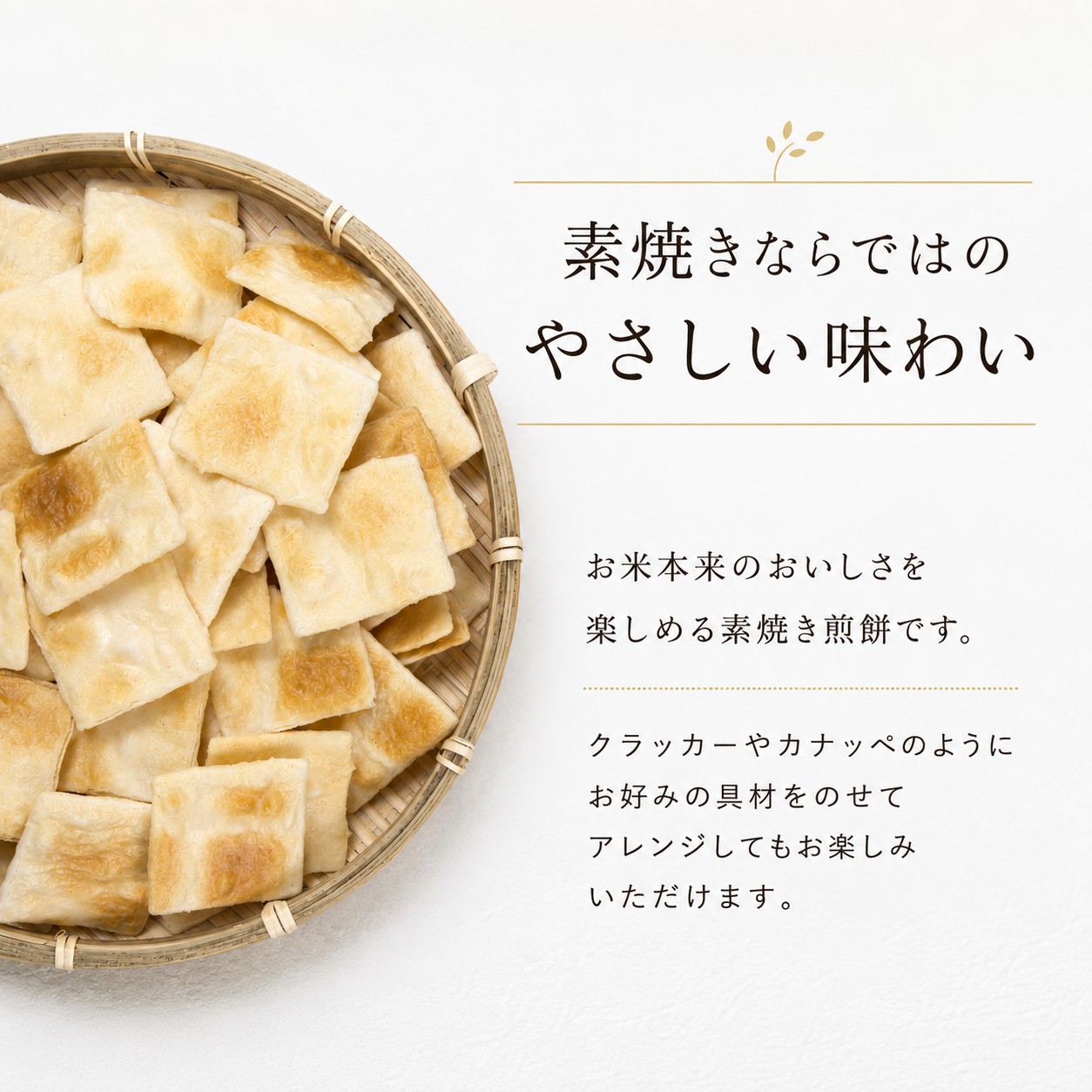 せんべい 3袋 素焼き ミルキークイーン 使用 クラッカー カナッペ お酒 おつまみ にも 茨城県産 国産米 米 お米 使用 食べやすい お煎餅 煎餅 セット グルテンフリー 菓子 茨城 筑西