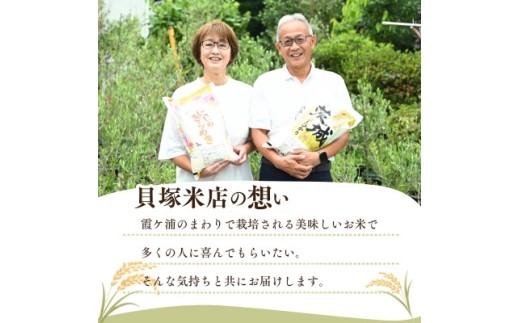 令和8年産 新米 田伏米のコシヒカリ 精米 5kg | こしひかり お米 茨城県かすみがうら市産　　【1662542】