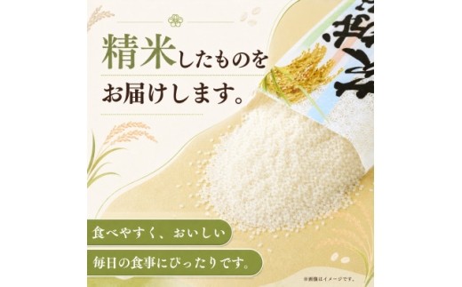 令和8年産 新米 田伏米のコシヒカリ 10kg(5kg×2) | こしひかり お米 かすみがうら市産【1662549】