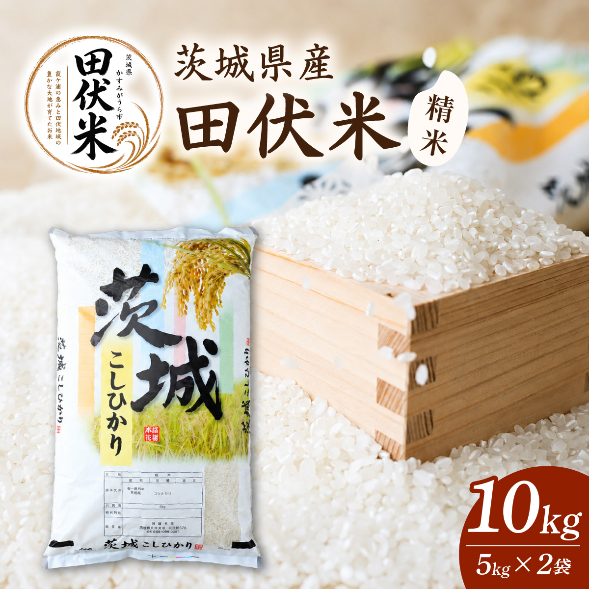 令和8年産 新米 田伏米のコシヒカリ 10kg(5kg×2) | こしひかり お米 かすみがうら市産【1662549】