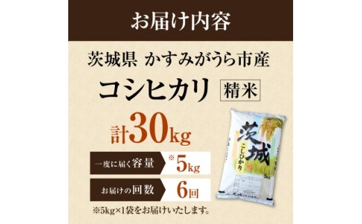 【毎月定期便】新米 田伏米のコシヒカリ 5kg全6回 | お米 こしひかり 茨城県かすみがうら市産【4076523】