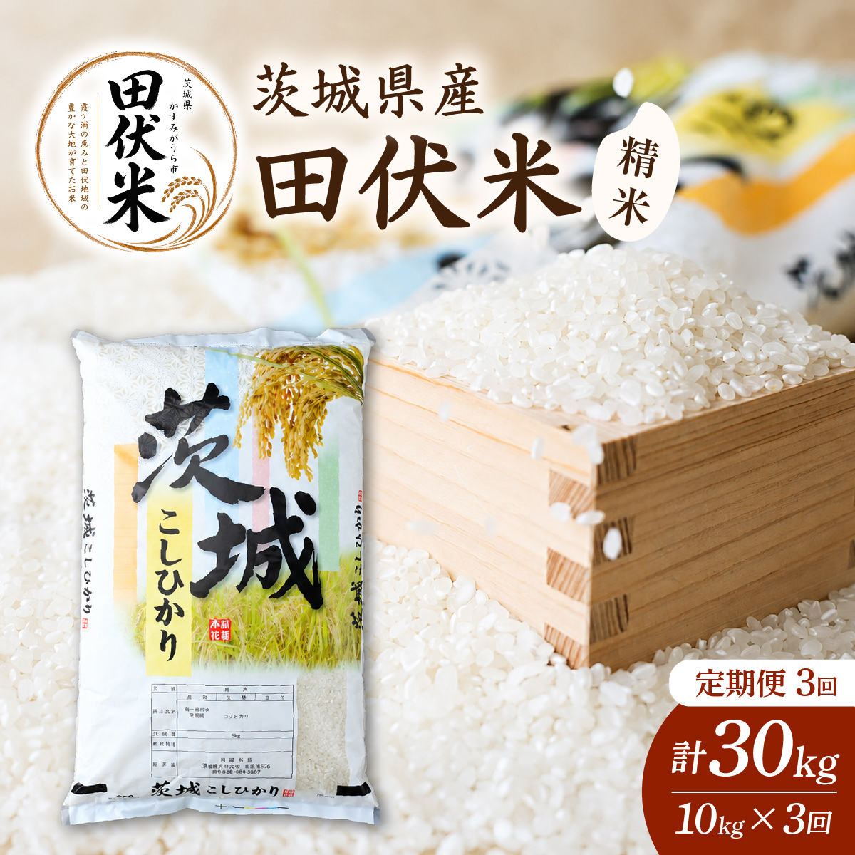 【毎月定期便】新米 田伏米のコシヒカリ 精米 10kg全3回 |米 こしひかり 茨城県かすみがうら市【4076524】