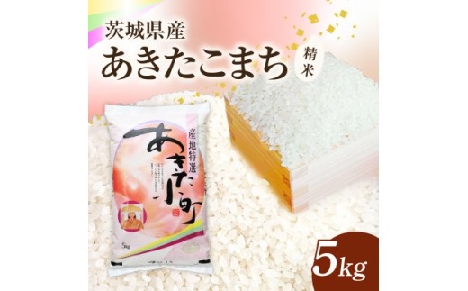 【令和8年産】新米 あきたこまち 精米 5kg(5kg×1袋) | お米 米 あきた小町 茨城県かすみがうら市【1775626】
