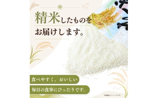 【令和8年産】新米 あきたこまち 精米 5kg(5kg×1袋) | お米 米 あきた小町 茨城県かすみがうら市【1775626】