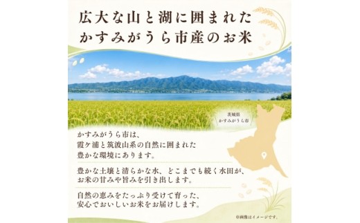 【令和8年産】新米 あきたこまち 精米 5kg(5kg×1袋) | お米 米 あきた小町 茨城県かすみがうら市【1775626】
