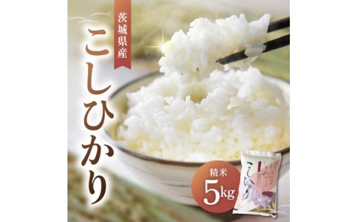 令和8年産 新米 コシヒカリ 精米 5kg | こしひかり お米 茨城県かすみがうら市産【1268974】
