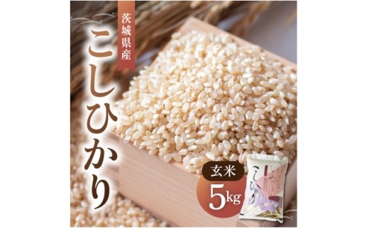 令和8年産 新米 コシヒカリ 玄米 5kg | こしひかり お米 茨城県かすみがうら市産【1630960】
