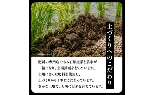 令和8年産 新米 コシヒカリ 玄米 5kg | こしひかり お米 茨城県かすみがうら市産【1630960】