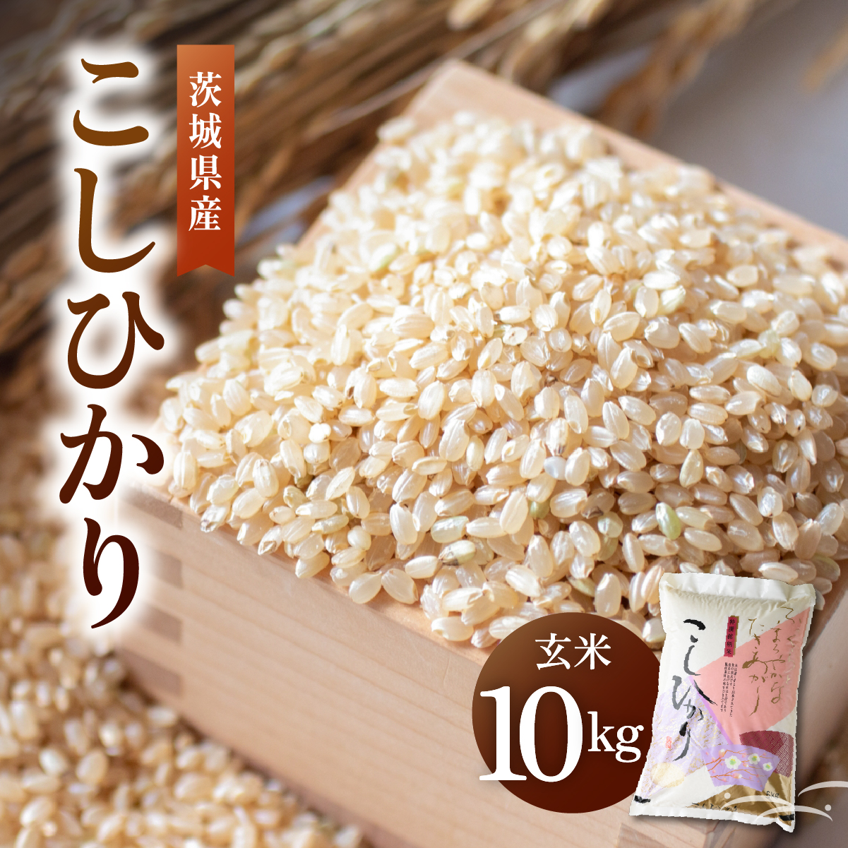 令和8年産 新米 コシヒカリ 玄米 10kg | こしひかり お米 おこめ 茨城県産【1630961】