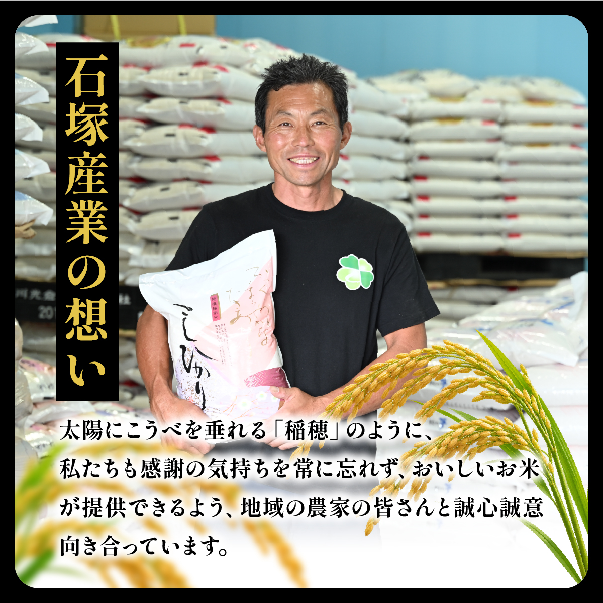 令和8年産 新米 あきたこまち 玄米 10kg | お米 米 こめ あきた小町 茨城県かすみがうら市【1666722】