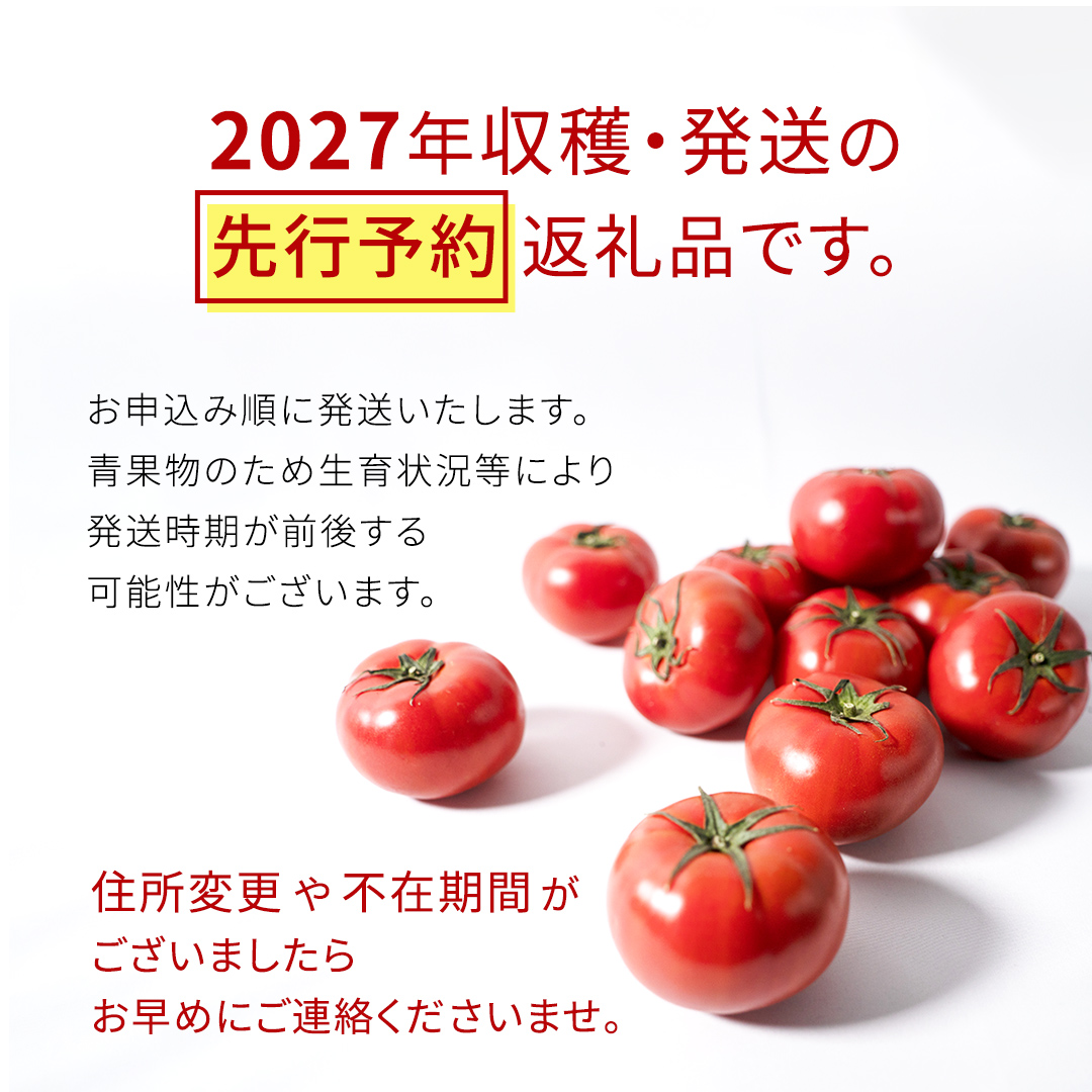 《 2027年 収穫分 》2～6月配送 スーパーフルーツトマト てるて姫 中箱 約1.2kg × 1箱 【12～15玉/1箱】 糖度9度以上 先行予約 フルーツトマト ブランドトマト 野菜 [BC033sa]