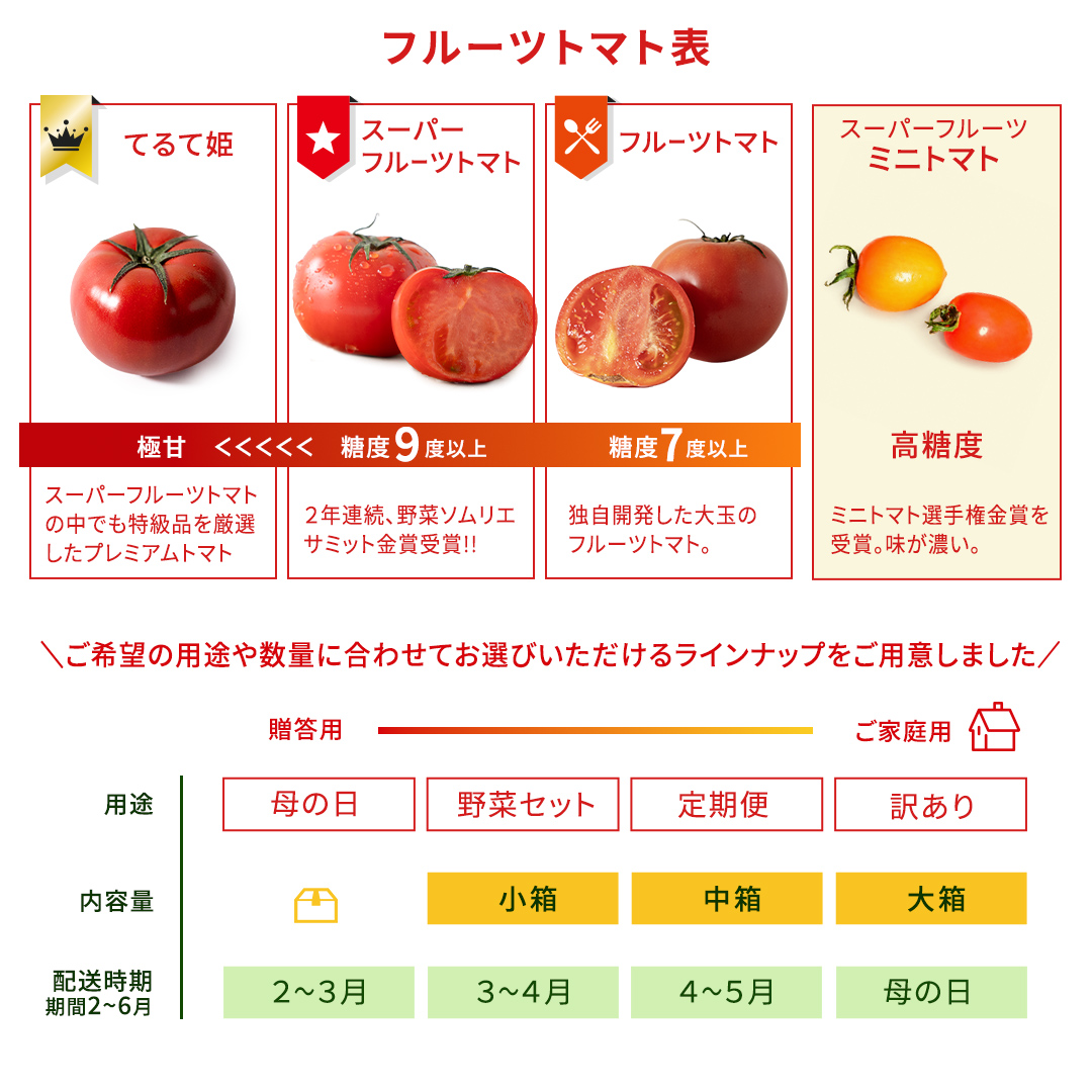 《 2027年 収穫分 》2～6月配送 スーパーフルーツトマト てるて姫 中箱 約1.2kg × 1箱 【12～15玉/1箱】 糖度9度以上 先行予約 フルーツトマト ブランドトマト 野菜 [BC033sa]