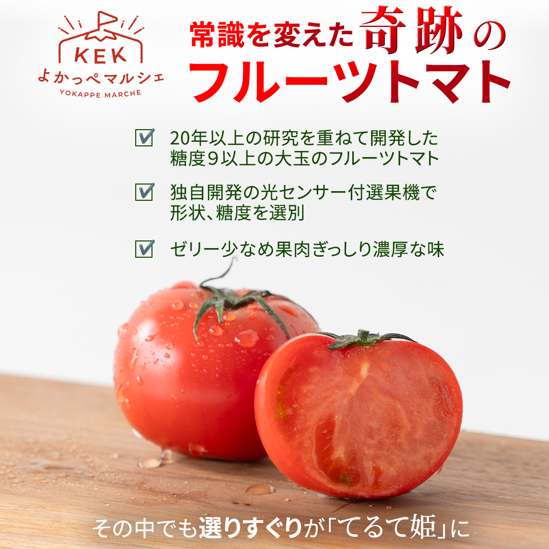 《 2027年 収穫分 》2～6月配送 スーパーフルーツトマト てるて姫 中箱 約1.2kg × 1箱 【12～15玉/1箱】 糖度9度以上 先行予約 フルーツトマト ブランドトマト 野菜 [BC033sa]