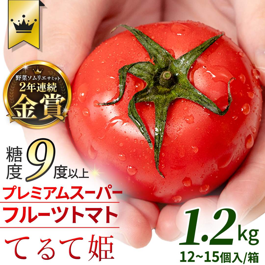 《 2027年 収穫分 》2～6月配送 スーパーフルーツトマト てるて姫 中箱 約1.2kg × 1箱 【12～15玉/1箱】 糖度9度以上 先行予約 フルーツトマト ブランドトマト 野菜 [BC033sa]