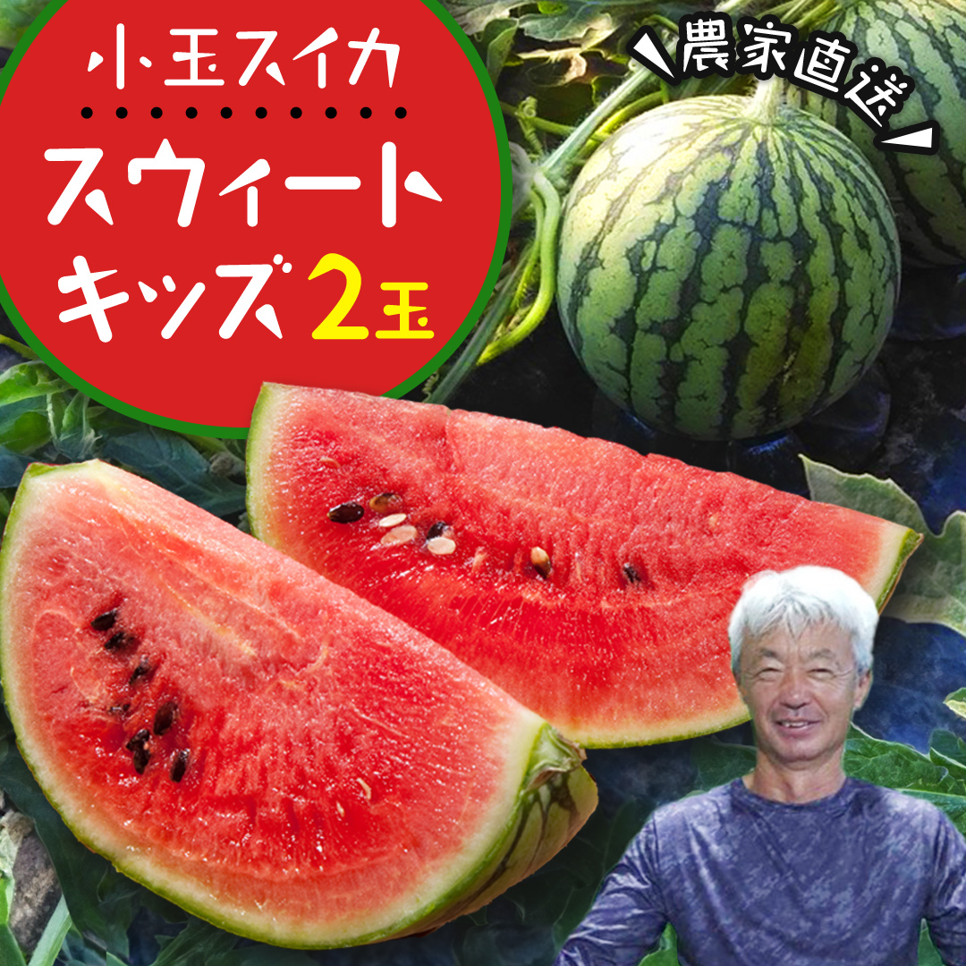 《 2027年 収穫分 》 小玉 スイカ スウィートキッズ 2玉 先行予約 国産 藤田益弘 小玉スイカ すいか 小玉すいか こだますいか 国産 西瓜 フルーツ 果物 くだもの [CQ001sa]