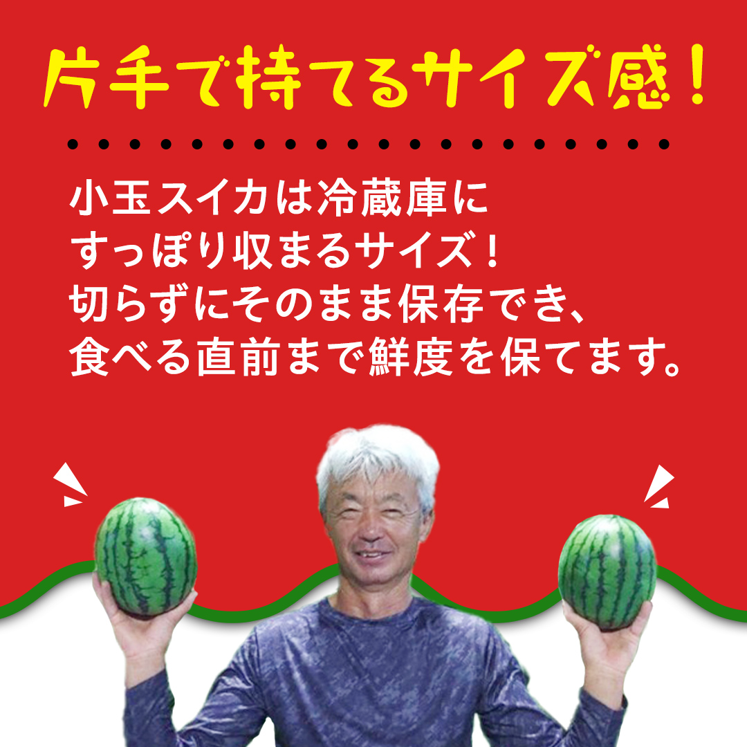 《 2027年 収穫分 》 小玉 スイカ スウィートキッズ 2玉 先行予約 国産 藤田益弘 小玉スイカ すいか 小玉すいか こだますいか 国産 西瓜 フルーツ 果物 くだもの [CQ001sa]