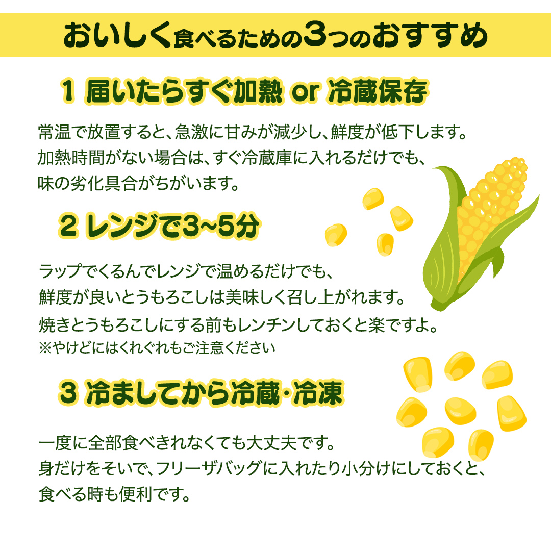 《 2027年 収穫分 》 朝採れ 桜川市産 とうもろこし 約4kg (11～13本) 2027年 先行予約 朝採り スイートコーン おおもの おひさまコーン ゴールドラッシュ [FJ001sa]