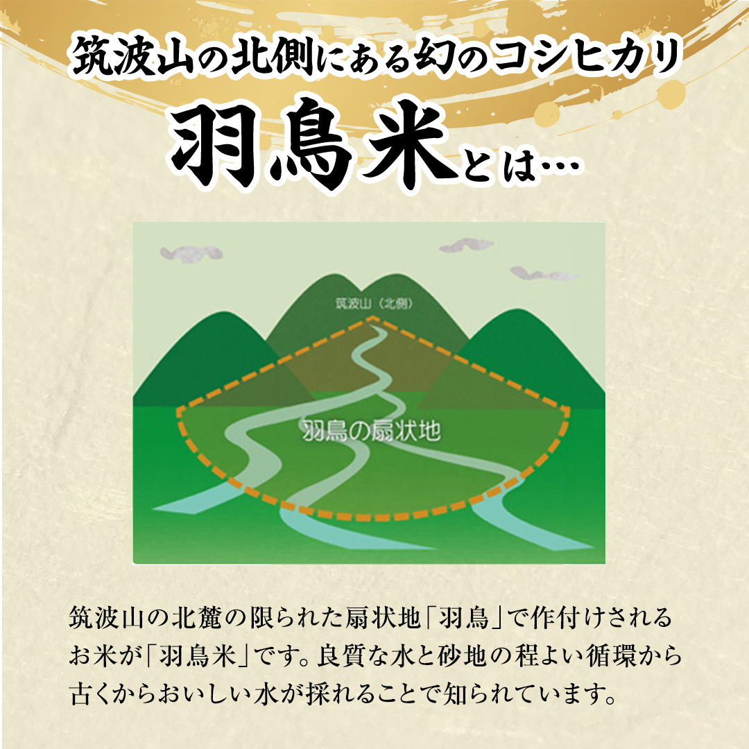 《 令和8年産 》 コシヒカリ 「幻の米 羽鳥米」 3kg (3kg × 1袋) 筑波北麓秘蔵米 先行予約 お米 ごはん 精米 コメ 白米 国産 茨城県 桜川市 限定 期間限定 数量限定 銘柄米 [A