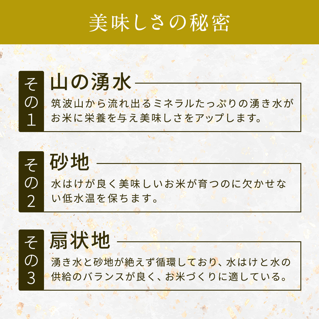 【 令和8年産 】 コシヒカリ ・ にじのきらめき 食べ比べ セット 合計10kg (各5kg) 米 ごはん もっちり 後味すっきり 甘い コメ お米 精米 銘柄米 [AX014sa]
