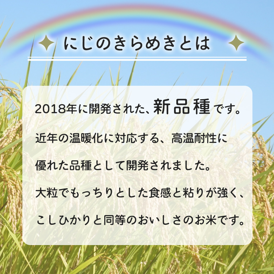 令和8年産 にじのきらめき 5kg ( 5kg × 1袋 ) お米 ごはん 精米 コメ 白米 国産 茨城県 桜川市 銘柄米 [AX015sa]