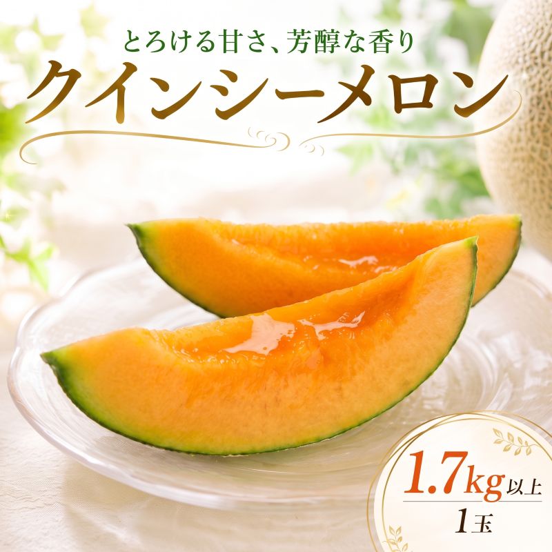 【2027年発送】 特大 メロン 1玉 1.7kg以上 クインシーメロン 茨城 果物 くだもの フルーツ 果実 赤肉 赤肉メロン 1個 国産 めろん 茨城県 鉾田市 山一ファーム