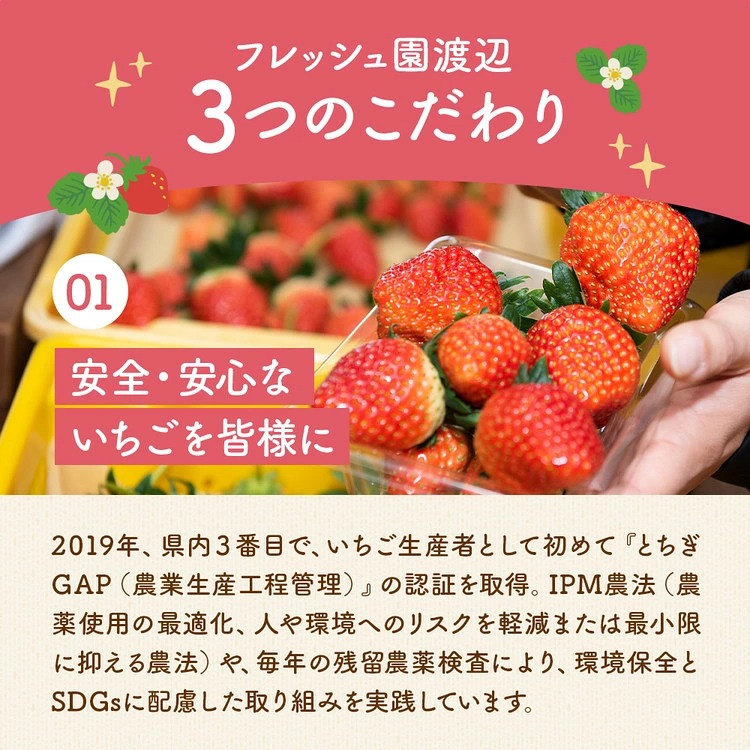 とちあいか 2パック 2027年2月上旬〜2月中旬