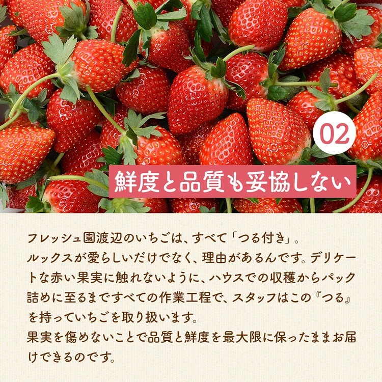 とちあいか 2パック 2027年2月中旬〜2月下旬