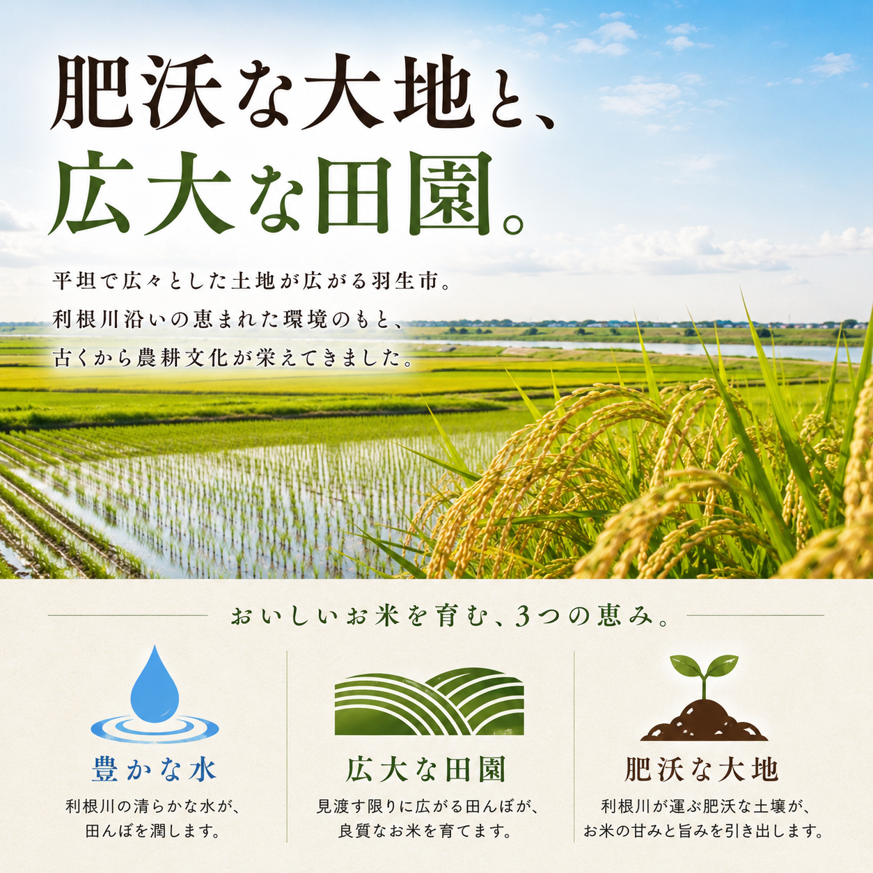 【最短1週間以内発送！】 あさひの夢 5kg 【精米】  令和7年産 1袋 白米 米 お米 ライス 5キロ 米5kg ごはん こめ コメ はくまい ※ ブランド米 おむすび