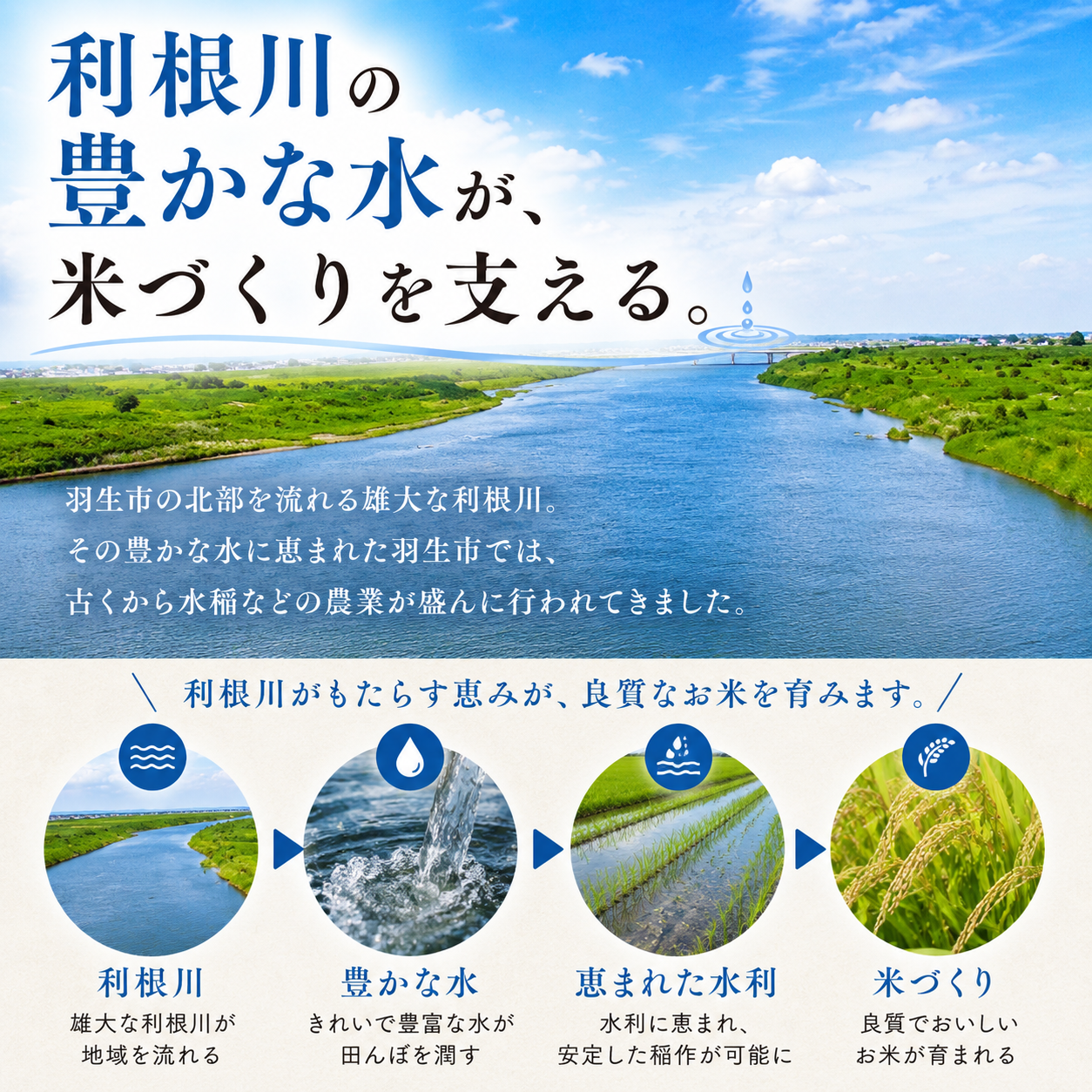 【最短1週間以内発送！】 あさひの夢 5kg 【精米】  令和7年産 1袋 白米 米 お米 ライス 5キロ 米5kg ごはん こめ コメ はくまい ※ ブランド米 おむすび