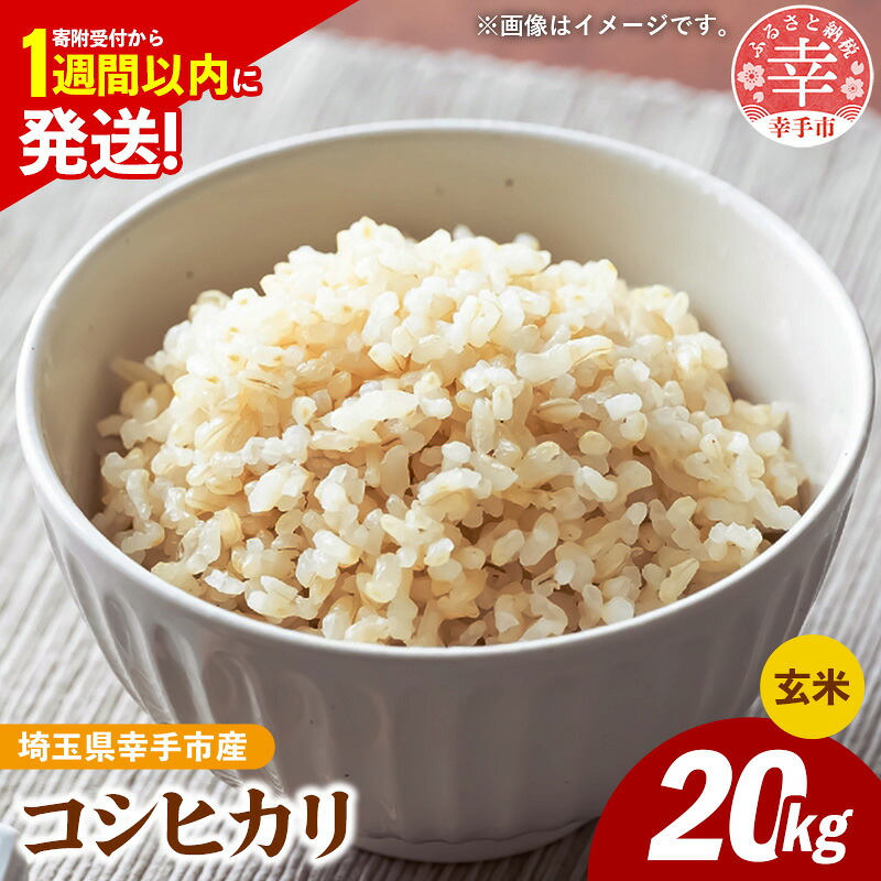 令和7年産 コシヒカリ 玄米20kg 色彩選別済