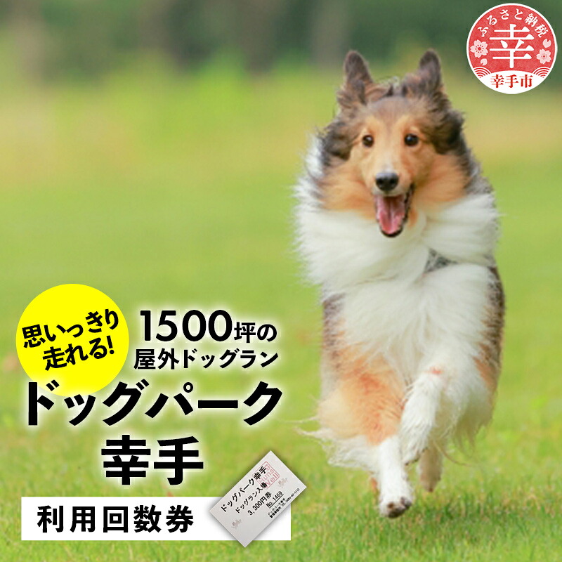 利用回数券 チケット 回数券 ドッグラン 愛犬